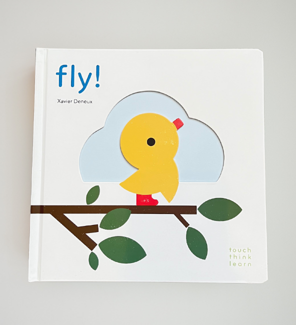 TouchThinkLearn: Fly! by Xavier Deneux